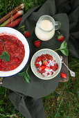 Rhubarb and strawberry jelly with vanilla sauce, vegan
