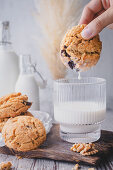 Cookies mit Schokolade und Walnüssen in Milch tunken