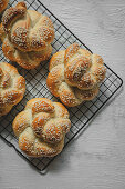 Yeast buns with sesame seeds