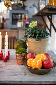 Fruit bowl with oranges and apples in front of a planter with Christmas roses