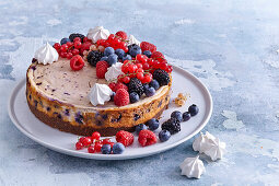 Summer blueberry cheesecake