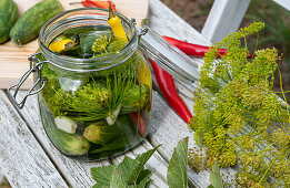 Quick pickled cucumbers with chilies, garlic, and dill