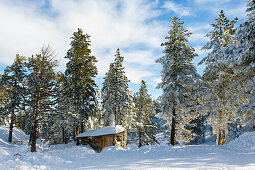 Kleine Hütte im verschneiten Wald, Plateau de Beille, bei Les Cabannes, Département Ariège, Pyrenäen, Okzitanien, Frankreich