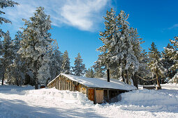 Kleine Hütte im verschneiten Wald, Plateau de Beille, bei Les Cabannes, Département Ariège, Pyrenäen, Okzitanien, Frankreich