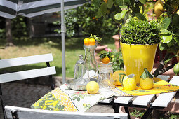 Summer decoration with lemons and bitter oranges