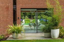 Grass and bamboo in large planters on a small terrace in front of windows