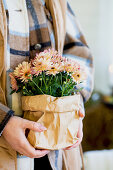 Dahlia in brown paper as a planter