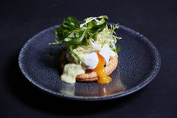 Poached egg with hollandaise sauce and salad garnish