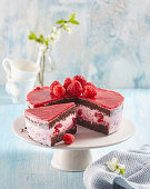 Chocolate raspberry cake