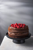 Raspberry chocolate cake with dark ganache and pistachios