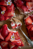 Erdbeer-Brezel-Kuchen (Close Up)