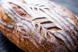 Homemade sourdough bread (Close Up)