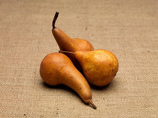 Pears of the variety 'Beurre bosc' on sackcloth
