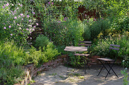 A shady seating area in a natural garden with a small wall