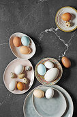 Verschiedene Eier auf Tellern
