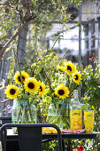 Sonnenblumen in großen Glasgefäßen