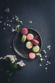 Colourful macarons on a plate next to flowers