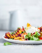 Salad with grilled nectarines and buffalo mozzarella