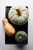 Three different squashes