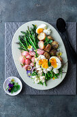 Asparagus and egg salad with potatoes