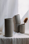 Ceramic mugs and a carafe with a teasel as decoration