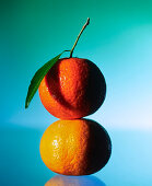 Citrus fruits (mandarin, clementine), stacked on top of each other