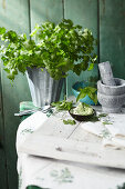 Herb butter in a bowl behind a mortar and fresh herbs on the table