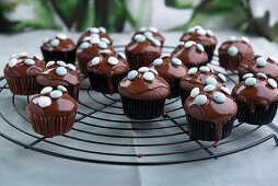Vegan chocolate-mint muffins decorated with dark chocolate icing and mints