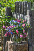 Blumenstrauß Tränendes Herz (Dicentra Spectabilis) und Kaukasus-Vergissmeinnicht (Myosotis) auf Baumstumpf