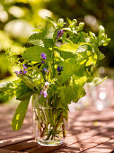 Fresh herbs in a glass