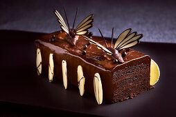 Festlicher Schokoladenkuchen mit Schmetterlingsdekoration