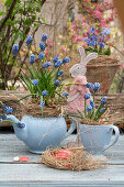 Grape hyacinths (Muscari) in old tea service with straw and Easter decoration on wooden table