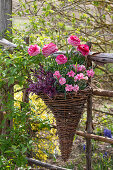 Willow wicker hanging on a fence with carnations (Dianthus) and ranunculus