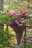 Weidengeflecht an Zaun hängend mit Nelken (Dianthus) und Ranunkeln