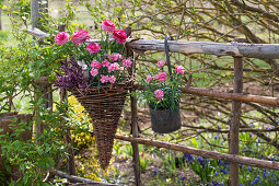 Willow wicker hanging on a fence with carnations (Dianthus) and ranunculus