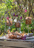 Vasen mit Steckzwiebeln gefüllt, Schachbrettblumen (Fritillaria), Eier und Federn als Osterdeko auf Holztisch im Garten