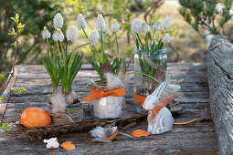 Grape hyacinths (Muscari) in jars with feathers, Easter eggs and rabbit figurine, Easter decoration
