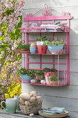 Wall shelf decorated with herb pots, cress, mint, radishes, sprouts, chicken eggs, flowering bushes