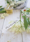 Elderflowers