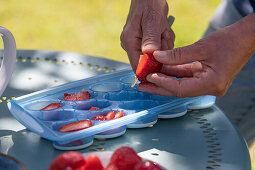 Eiswürfel mit Erdbeeren und Rosmarin