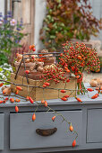 Clay pots with flower bulbs in wooden crate decorated with rose hips