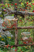 Lanterns decorated with rosehip branches as autumnal garden decoration
