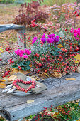 Table decoration with cyclamen, leaves and rose hips