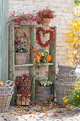 Pumpkins, walnuts, and rose hip hearts in old wooden shelf on autumnal terrace