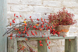 Autumnal decoration with rose hip branches on wooden shelf