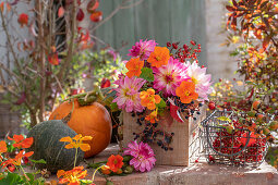 Herbstliches Arrangement mit Kürbissen, Dahlien und Kapuzinerkresseblüten
