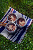Chocolate mousse in cups on the meadow