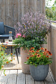 Sommerliche Kübelbepflanzung auf dem Balkon mit Strauchbasilikum 'African Blue', Sutera 'Big White', Echinacea, Zinnien und Geranie