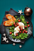 Kale burrata salad with stewed grapes and toasted bread