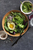 Green Goddess Salad salad with avocado, broccoli, sprouts and spinach